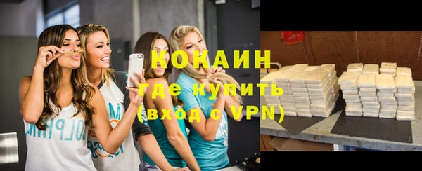индика Гусь-Хрустальный