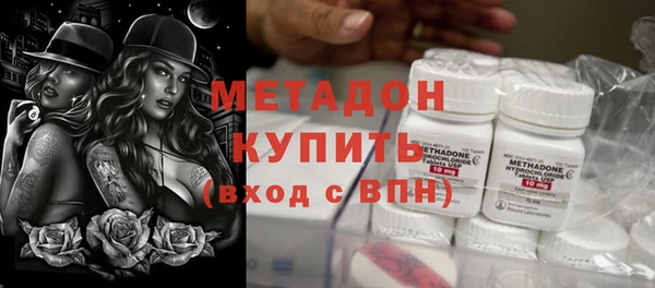 индика Гусь-Хрустальный