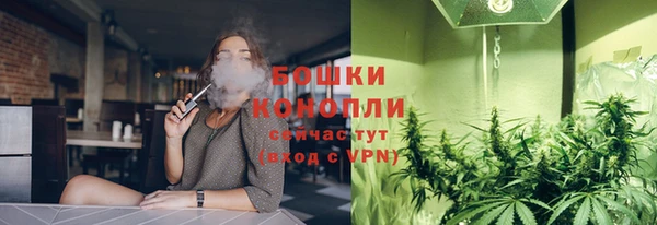 дурь Гусев