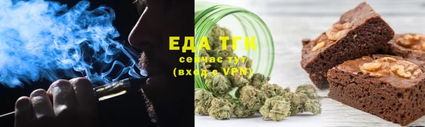 индика Гусь-Хрустальный