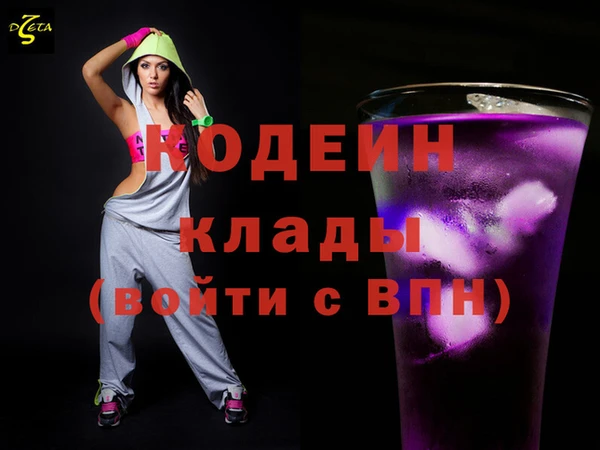 индика Гусь-Хрустальный