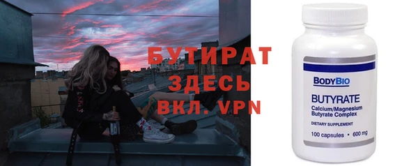 индика Гусь-Хрустальный
