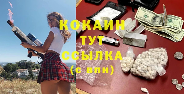 индика Гусь-Хрустальный