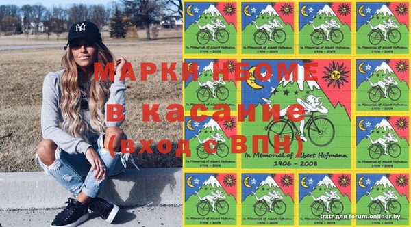 дурь Гусев