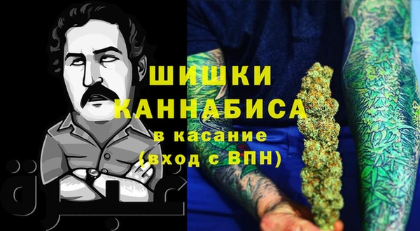 индика Гусь-Хрустальный