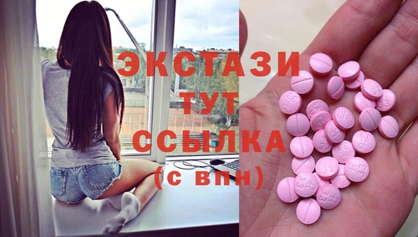 индика Гусь-Хрустальный