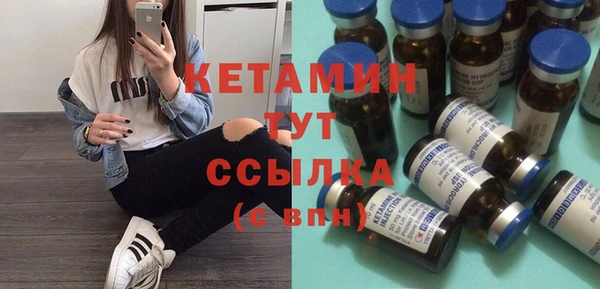 индика Гусь-Хрустальный