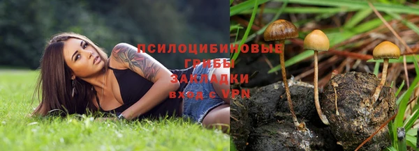 таблы Гусиноозёрск