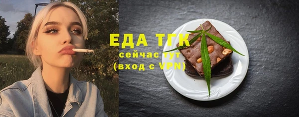 индика Гусь-Хрустальный