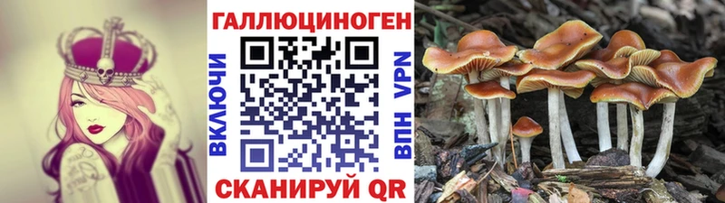 Галлюциногенные грибы мицелий  Бологое 