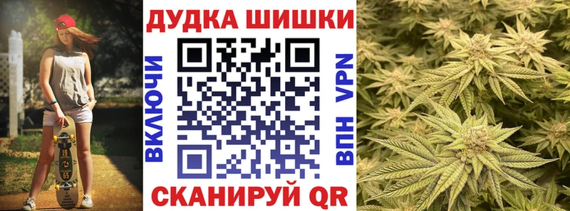 Шишки марихуана марихуана Бологое
